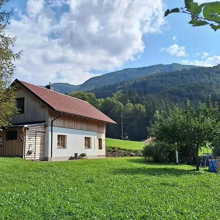 Luis Haus Holiday home Molln